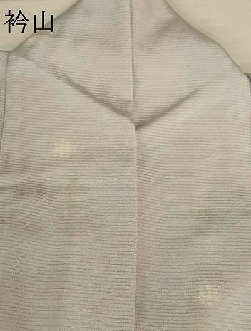 平和屋着物＊夏物　小紋　絽　丸文　蛍暈し　正絹　逸品　AABJ2470jd