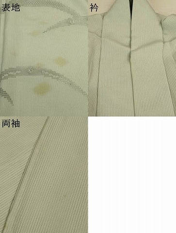 平和屋着物＊夏物　訪問着　縦絽　芝花文　正絹　逸品　AABJ2472jd