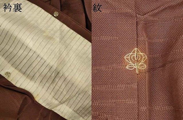 平和屋着物＊夏物　小紋　紗　舞葉文　正絹　逸品　AABJ2484jd