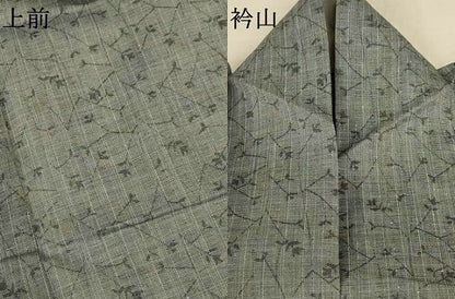 平和屋着物＊夏物　小紋　紗　枝花文　AABJ2489jd
