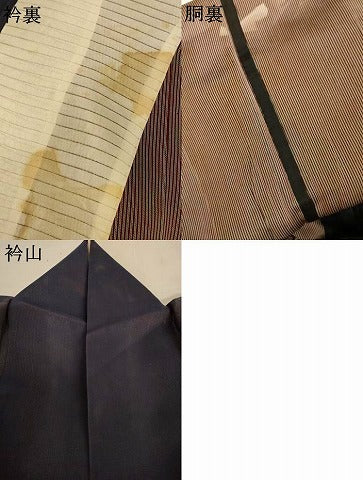 平和屋着物＊夏物　小紋　二重紗　縞　褐返色　正絹　逸品　AABJ2498jd
