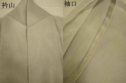 平和屋着物＊夏物　訪問着　絽　蔦の葉文　暈し染め　洗える着物　AABJ2501jd