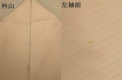 平和屋着物＊夏物　訪問着　絽　草花文　暈し染め　洗える着物　AABJ2504jd