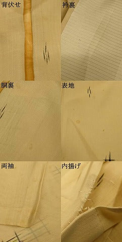 平和屋着物＊夏物　紗紬　絣文　正絹　逸品　AABJ2517jd