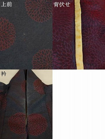 平和屋着物＊夏物　お召　紗　菊　正絹　逸品　AABJ2519jd