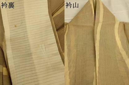 平和屋着物＊夏物　紗紬　よろけ縞　正絹　逸品　AABJ2523jd