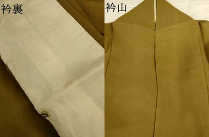 平和屋着物＊夏物　訪問着　紗　霞文　正絹　逸品　AABJ2526jd
