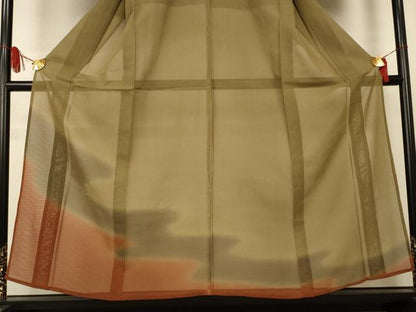平和屋着物＊夏物　訪問着　紗　霞文　正絹　逸品　AABJ2526jd