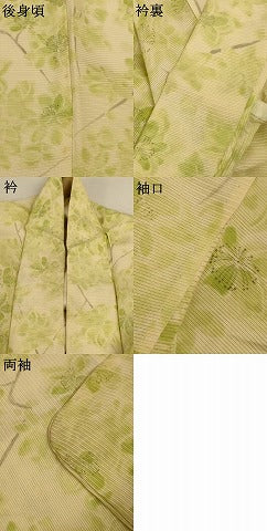 平和屋着物＊夏物　小紋　絽　手描き　枝花文　正絹　逸品　AABJ2533jd