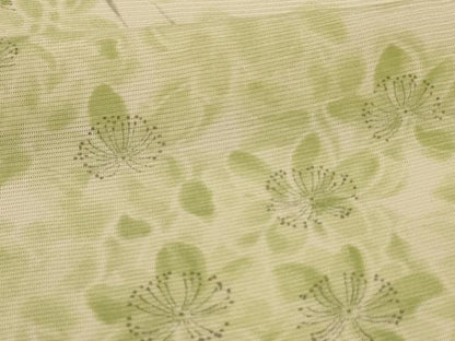 平和屋着物＊夏物　小紋　絽　手描き　枝花文　正絹　逸品　AABJ2533jd