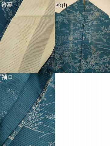 平和屋着物＊夏物　小紋　絽　風景草花文　正絹　逸品　AABJ2545jd