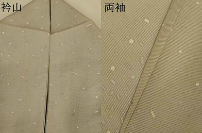 平和屋着物＊夏物　小紋　絽　箔散らし文様　銀彩　正絹　逸品　AABJ2547jd