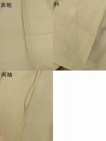 平和屋着物＊夏物　訪問着　絽　手描き　草花文　正絹　逸品　AABJ2548jd