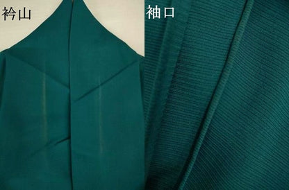 平和屋着物＊夏物　訪問着　絽　草花文　正絹　逸品　AABJ2552jd