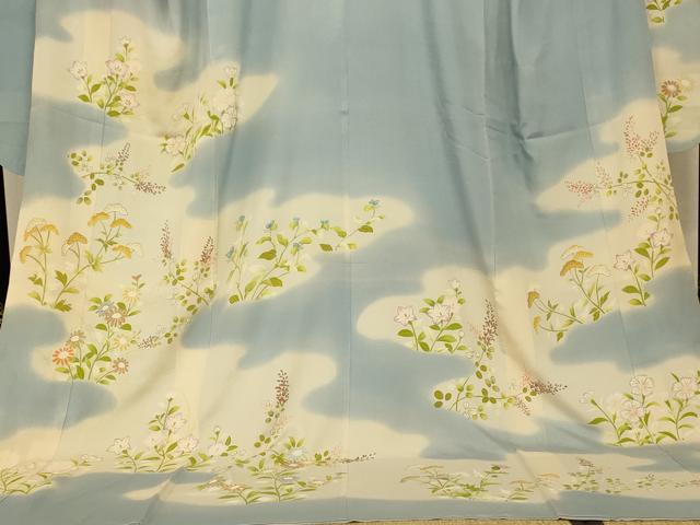 平和屋本店●夏物 お引きずり・お引き摺り・引き振袖 和装 結婚式 舞妓 芸妓 芸者 衣装 手描き 草花雲取り文 絽 暈し染め 逸品 AABJ2806fw