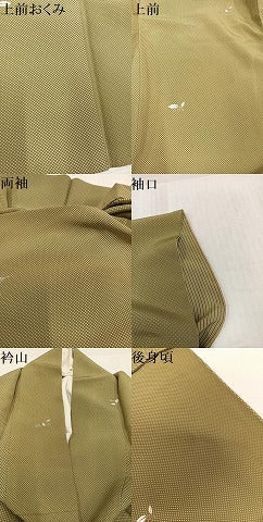 平和屋着物●上質な小紋　南天文　金彩　正絹　逸品　AABJ2980ph