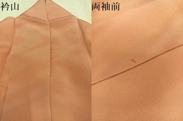 平和屋着物●上質な小紋　霞文　暈し染め　鬼しぼ縮緬　正絹　逸品　AABJ2982ph