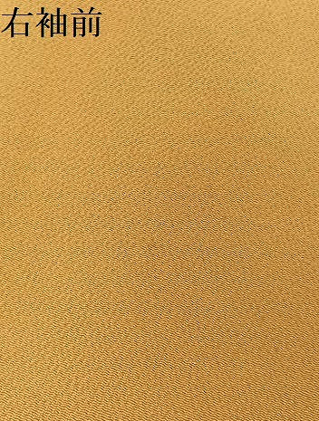 平和屋着物●藤あや子　訪問着　駒刺繍　花唐草文　暈し染め　金彩　鬼しぼ縮緬　銀座もとじ　正絹　逸品　AABJ3039ph