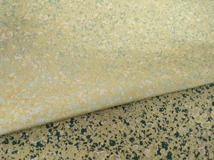 平和屋着物●訪問着　霞文　暈し染め　正絹　逸品　AABJ3082ck