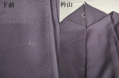 平和屋着物●江戸小紋　極小鮫小紋柄　正絹　逸品　AABJ3183cs