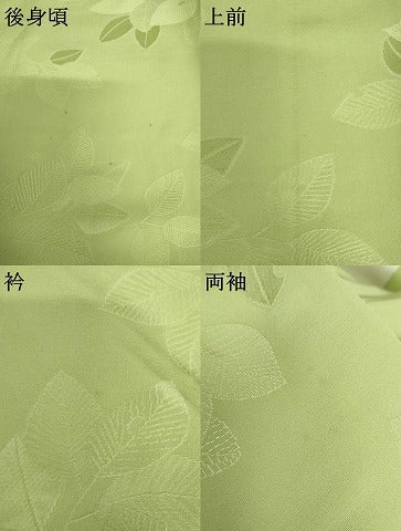平和屋着物●上質な色無地　枝葉地紋　柳色　正絹　逸品　未使用　AABJ3187cs