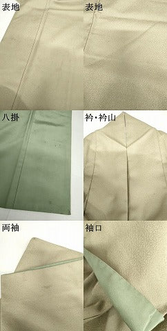 平和屋着物●洗える最高級着物　＜英＞はなぶさ謹製　色無地　花尽くし地紋　山葵色　たとう紙付き　洗える着物　AABJ3233cs