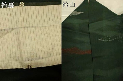 平和屋着物＊夏物　小紋　紗　霞文　正絹　逸品　AABJ3307jd