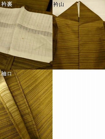 平和屋着物＊夏物　訪問着　絽紬　霞文　暈し染め　正絹　逸品　AABJ3309jd