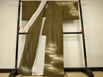 平和屋着物＊夏物　訪問着　絽紬　霞文　暈し染め　正絹　逸品　AABJ3309jd