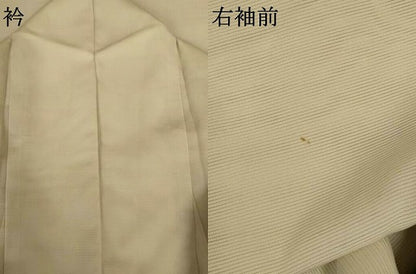 平和屋着物＊夏物　訪問着　絽　芝花文　暈し染め　五泉　反端付き　正絹　逸品　AABJ3317jd