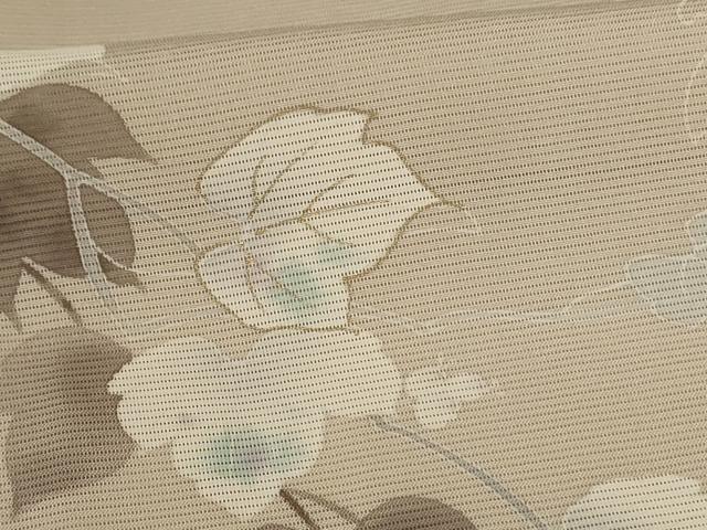 平和屋着物＊夏物　訪問着　絽　蔦の葉文　金彩　五泉　反端付き　正絹　逸品　未使用　AABJ3325jd