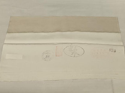 平和屋着物＊夏物　訪問着　絽　蔦の葉文　金彩　五泉　反端付き　正絹　逸品　未使用　AABJ3325jd