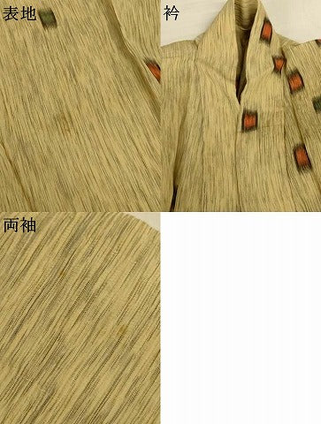 平和屋着物＊夏物　小紋　ちぢみ織　箔散らし文様　AABJ3354jd