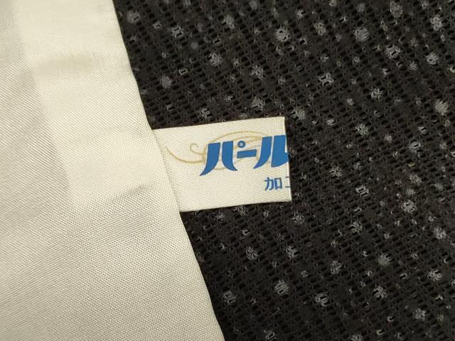 平和屋着物＊夏物　小紋　縦絽　斜縞　黒地　正絹　逸品　AABJ3360jd