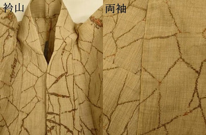 平和屋着物＊夏物　小千谷ちぢみ　草花文　麻　逸品　AABJ3380jd