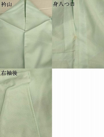 平和屋着物＊夏物　訪問着　絽　草花文　暈し染め　洗える着物　AABJ3413jd