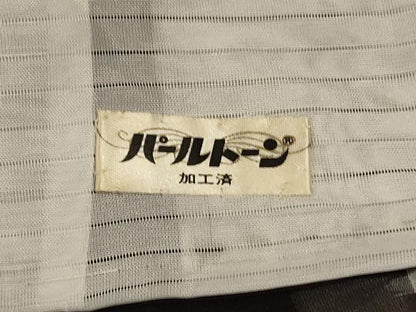 平和屋着物＊夏物　本場琉球絣　夏琉球　正絹　逸品　AABJ3416jd