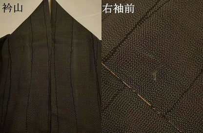 平和屋着物＊夏物　訪問着　紗　更紗花文　正絹　逸品　AABJ3420jd