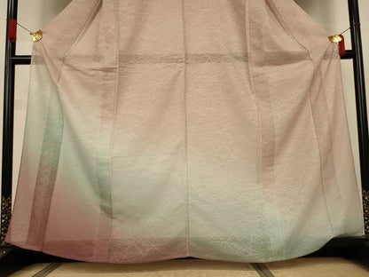 平和屋着物＊夏物　訪問着　縦絽　芝霞文　暈し染め　正絹　逸品　未使用　AABJ3430jd