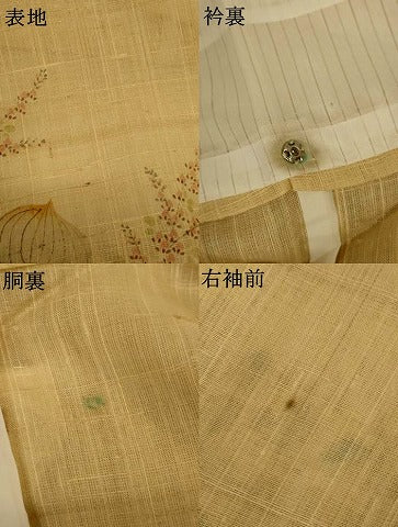 平和屋着物＊夏物　訪問着　生紬　手描き　草花文　ロング丈　正絹　逸品　AABJ3434jd