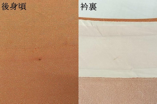平和屋着物▽江戸小紋　単衣　鮫小紋柄　正絹　逸品　AABJ3494jh