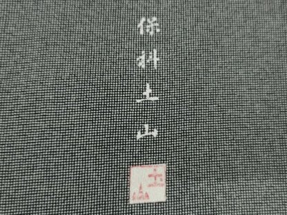 平和屋着物●伝統工芸士　保科土山　江戸小紋　角通し　黒地　正絹　逸品　未使用　AABJ3713cs