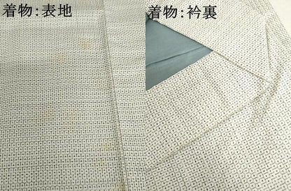 平和屋着物●男性　本場大島紬　白大島　アンサンブル　100亀甲　総詰　正絹　逸品　AABJ3723cs