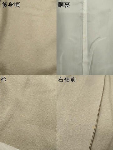 平和屋着物●豪華色留袖　蔓帯文　金彩　正絹　逸品　AABJ3827cs