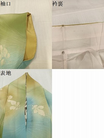 平和屋着物●上質な小紋　地紋起こし　舞葉文　暈し染め　正絹　逸品　AABJ3854ph