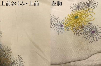 平和屋着物●豪華振袖　花尽くし　花はれぎ　金彩　丹後ちりめん　仮絵羽　逸品　未使用　AABJ3907ph