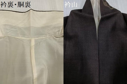 平和屋着物●上質な紬　舞花文　正絹　逸品　AABJ3966ph