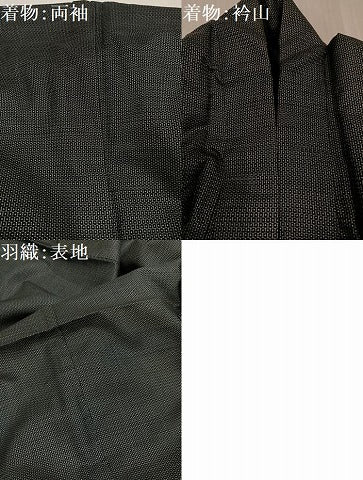 平和屋着物▼男性　本場大島紬　アンサンブル　100亀甲　総詰め　正絹　逸品　AABJ3993ph