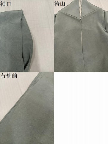 平和屋着物●本加賀友禅作家　成竹登茂男監修　色無地　蕎麦切色　正絹　逸品　AABJ4000ph