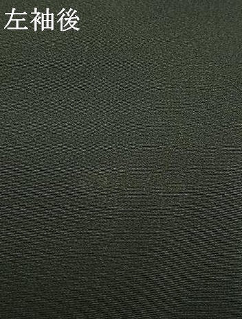 平和屋着物●豪華黒留袖　作家物　孔雀花文　金彩　正絹　逸品　AABJ4027fy